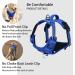 Funfox Adjustable No-Pull Dog Harness for Small & Medium Dogs - Breathable Safety Harness in Blue - Buy Online on GoSupps.com