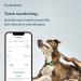 Whistle Health Smart Device for Dogs | Fitness & Activity Tracker - Green - Buy Online on GoSupps.com