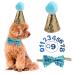 Dog birthday hat pet birthday and fly collar set with number reusable for puppies cats costumes party decorations accessories (light blue)