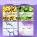 Niacinamide Serum With Fruit Acid Korean Serum Reduces Redness Hydrating Serum Improve Blemishes Dark Spot Correcting Glow Serum Brightening Serum For All Skin Type Serums Skincare - Buy Online on GoSupps.com