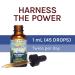 Fungi Perfecti Stamets 7 Extract - Daily Immune Support 1 oz | Natural Wellness - Buy Online on GoSupps.com