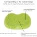 Foot Scrubbing Mat & Massager - Multifunctional Shower Scrubber with Non-Slip Suction Cup for Enhanced Foot Circulation (Green) - Buy Online on GoSupps.com