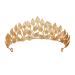 AW BRIDAL Gold Leaf Crown Headband Wedding Tiaras for Bride Gold Greek Goddess Headpiece for Women Princess Crown for Girls Pageant Prom Hair Accessories  Gold