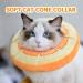 HONGMILL Soft Cat Cone Collar for Kittens - Stop Licking, Elizabethan Style in Orange, Medium Size 7-18 lbs - Buy Online on GoSupps.com
