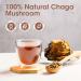 iMATCHME Chaga Tea Bags - Organic Chaga Mushroom Tea - Detox and Digestive Support - Caffeine-Free - 30 Bags - Buy Online on GoSupps.com