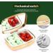 Dynippy Retro Pill Case with Mirror | Gold Floral 2 Compartment Medicine Organizer for Travel & Purse - Buy Online on GoSupps.com