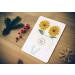 Quilling Greeting Card Making Kit - Fun Craft for Kids and Adults - Buy Online on GoSupps.com