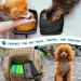 PetAmi Collapsible Dog Bowls 2 Pack - Portable Water & Food Bowl for Pets - Travel, Hiking, Camping - Outdoor Gear Accessories | Gray - Buy Online on GoSupps.com
