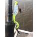 Fin Commander Slab Curly 12-Piece Jig Pack - White/Chartreuse - Buy Online on GoSupps.com