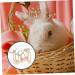 ORFOFE 5pcs Salt Lick for Animals Salt Brick Salt Lickinging Block Salt for Animals Licking Pet Salt Block - Buy Online on GoSupps.com