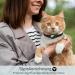 Shop Airtag Cat Collar - Integrated Apple AirTag GPS with Bracket & Bell Tracker | Black for Boys & Girls - International Shipping Available - Buy Online on GoSupps.com