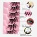 Eyelash Package Trays High Imitation 10 Pairs of Half Eye Eyelashes Grafting Eyelashes Curling Eyelashes Small Eyelash Curler B One Size - Buy Online on GoSupps.com