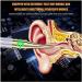 KouRy Ear Wax Removal Kit - OSOGMAFT Wireless HD Otoscope Cleaner Tool with 6 LED Lights IP65 Waterproof Earwax Remover - Shop Internationally - Buy Online on GoSupps.com