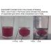 EnerGold 10X Concentrated 200ppm Colloidal Gold - 32oz (2 x 16oz Bottles) - Buy Online on GoSupps.com