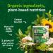 Gerber Organic Lil Crunchies Plant-tastic White Bean Hummus - 1.59oz (Pack of 6) - Buy Online on GoSupps.com