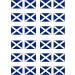24 Edible Scottish Flag Cupcake Toppers Scotland Flag Six Nations Decorations Scottish Rugby Cake Decorations Six Nations Flags Scottish Flags Scottish Party Decorations Scotland Decorations - Buy Online on GoSupps.com
