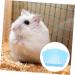 COLLBATH Box Rabbit Toilet Rabbit Bed Hedgehog Litter Tray Bunny Stuff Potty Train Rabbit Tub Tray Plastic 33X29.5X14CM Blue - Buy Online on GoSupps.com
