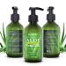 Bighture 100% Organic Aloe Vera Gel - Deeply Soothing & Firming Skin Care | After Shave & Sunburn Relief - 10.25 Fl Oz - Buy Online on GoSupps.com
