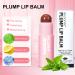 Plumping Lip Balm: Hydrating Tinted Lip Polish for Dry, Cracked Lips - Deep Nourishing Moisturizing Lip Gloss (Brown Vermeil) - Buy Online on GoSupps.com