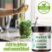 Water Lentil Protein Powder | Organic Duckweed with B12 & Chlorella | Sugar-Free Energy Booster | Sustainably Farmed | 100% Recyclable 10oz - Buy Online on GoSupps.com