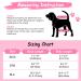 Soft Dog Diaper Trousers - 2 Pack | Pet Clothing Harness for Puppies | Black-Pink L | Comfortable & Stylish Dog Diapers - Buy Online on GoSupps.com