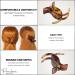 Parcelona French 3 Teeth Savana & Tortoise Shell Fish Style Ponytail Holder Set - Strong Grip Hair Claw Clip - Buy Online on GoSupps.com