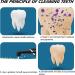 Buy Aouzovli Teeth Whitening Set & Tartar Remover - Effective Tooth Cleaning & Whitening Solution - Buy Online on GoSupps.com