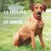 K9 Advantix II Flea and Tick Prevention for Extra-Large Dogs 4-Pack | Over 55 lbs - Buy Online on GoSupps.com