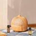 Sedbuwza Vanilla Coconut Essential Oil Set | Aromatherapy Diffuser Massage & Soap Making | 2 x 10ml - Buy Online on GoSupps.com