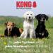 KONG Explore Retractable Dog Leash Large Grey 7 5m Tape Explore Large Grey - Buy Online on GoSupps.com