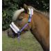 Rhinegold Bright Striped Fur Trim Small Pony Headcollar Mini Shetland Turquoise Stripe - Buy Online on GoSupps.com