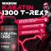 T-Rex Creatine Monohydrate 100 Tablets - Pure 1300 mg Pre Workout Supplement for Muscle Building | International Shipping - Buy Online on GoSupps.com