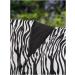Paddock Fly Sheet Comfort Pro Zebra 125+ | Premium Horse Protection | International Shipping Available - Buy Online on GoSupps.com