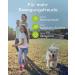 Wolfsbach Joint Tablets for Dogs | 100pcs - Made in Germany | Organic MSM Glucosamine Hip & Devil Claw - Highly Concentrated & Easy to Feed - Buy Online on GoSupps.com