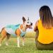 Hjyokuso Dog Cooling Vest - Summer Cooling Jacket for Small Medium & Large Dogs | Perfect for Outdoor Activities & Training | L Blue - Buy Online on GoSupps.com