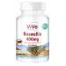 Frankincense tablets - 400mg - Boswellia serrata - 240 tablets - High dosage - Vegan | Quality from Germany by ViVe Supplements