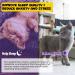 Cat Calming Supplement - Cat Sedative for Grooming Melatonin Liquid for Stress Relief & Sleep Aid Promotes Rest & Relaxation 2.02fl oz - Buy Online on GoSupps.com