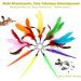 MeoHui 2PCS Retractable Cat Wand Toy + 9PCS Feather Refills - Interactive Kitten Toy for Chase & Exercise - Buy Online on GoSupps.com