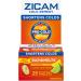 Zicam Cold Remedy Zinc Rapidmelts Lemon-Lime with Echinacea 25 Count - Fast Relief for Colds | Pack of 1 - Buy Online on GoSupps.com