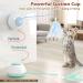 Pawaboo 2 in 1 Electric Cat Toys USB Rechargeable Automatic Cat Exercise Teaser Toy with 3pcs Replacement Indoor Interactive Cat Toy Pop and Play Feather Teaser Wand Toy for Cat Kitten Kitty Green - Buy Online on GoSupps.com