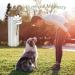 Pet Hair Memorial Bottle Glass Vial For Ashes Or Hair Dog Or Cat Keepsake Pet Loss Gift (Bottle) - Buy Online on GoSupps.com