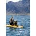 Stunt Puppy Float Doggy Life Jacket - Red - Size L - Buy Online on GoSupps.com