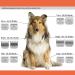 Detachable Pet Dog Grooming Ceramic Blades Compatible with Andis Size-4FC Cut Length 9.5mm 3/8 Compatible with Oster A5 Wahl KM10 Series Clippers - Buy Online on GoSupps.com