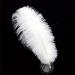 HAPPY FEATHER 16-18 inch White Ostrich Feathers Craft for Wedding Party Centerpieces Home Decoration DIY Craft Pack of 10 16-18 inch white 10pcs