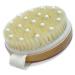 Body Brush for Wet or Dry Brushing Gentle Exfoliating for Softer  Bristles Gentle Massage Nodes Get Rid of Your Cellulite and Dry Skin  Improve Your Circulation 1 Count (Pack of 1)
