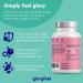 Inositol Capsules 2000 mg - High-Dose 200 Capsules with Vitamin B6 & Folic Acid - Lab Tested for Quality - Buy Online on GoSupps.com
