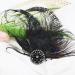 FERCAISH Women's Plumage Mesh Hair Clip 20s Hair Clip Vintage Costume Hair Accessories Fascinator Headwear for Women Birthday Wedding Party (Black) - Buy Online on GoSupps.com