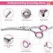 6 in 1 Professional Dog Grooming Scissors Kit with Safety Round Tips - Titanium Coated Stainless Steel Shears for Pets - Pink - Buy Online on GoSupps.com