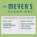 Mrs. Meyer's All-Purpose Cleaner Spray - Limited Edition Iowa Pine 16 fl oz - Buy Online on GoSupps.com