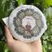 Tea Soul Th Puer Sheng BIO (cru) Ban Zhang Cake R colte 2018 Sachet de 100g Th chinois de qualit Tea Soul